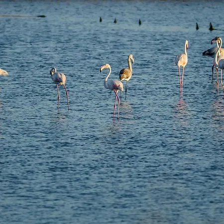 Casino Iv * Figueira da Foz