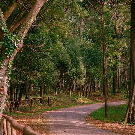 Apartamento Casino Iv